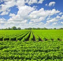 Department of Agriculture, Cooperation & Farmers Welfare